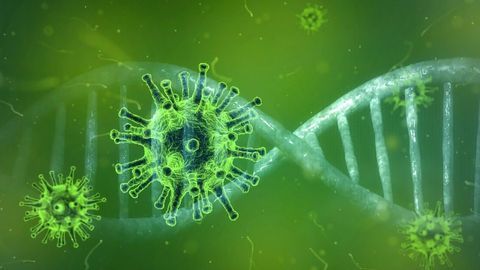 Low-Cost Method Rapidly Detects SARS-CoV-2 Infection