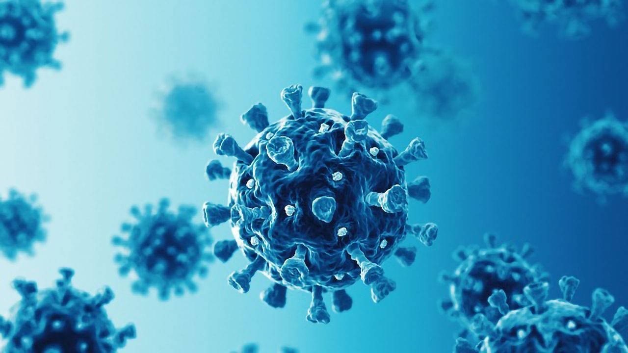 Nanobody-Based Test Detects SARS-CoV-2 in Less Than 10 Minutes