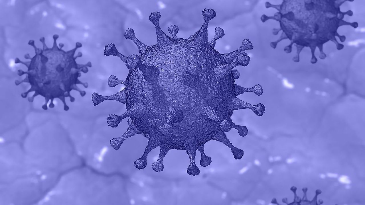 Adaptive Biotechnologies Announces FDA Emergency Use Authorization for T-Detect™ COVID To Confirm Recent or Prior COVID-19 Infection