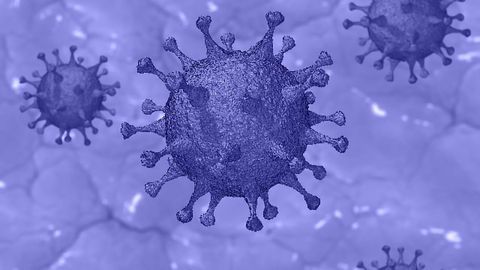 Adaptive Biotechnologies Announces FDA Emergency Use Authorization for T-Detect™ COVID To Confirm Recent or Prior COVID-19 Infection