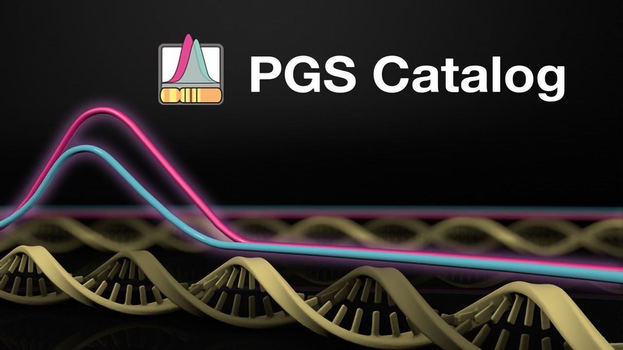 Getting Polygenic Risk Scores Into the Clinic