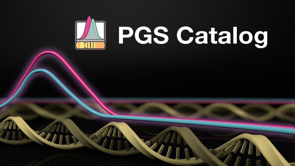 Getting Polygenic Risk Scores Into the Clinic content piece image