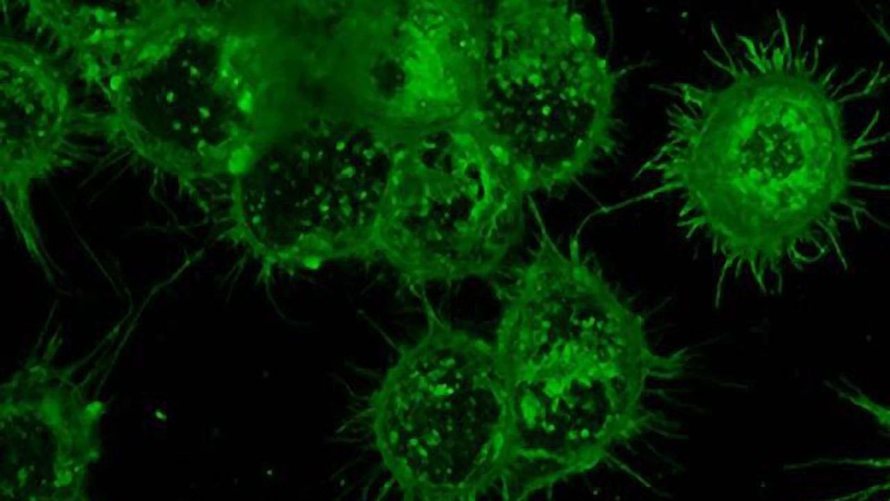 The Power of Glycans in Cancer Treatments