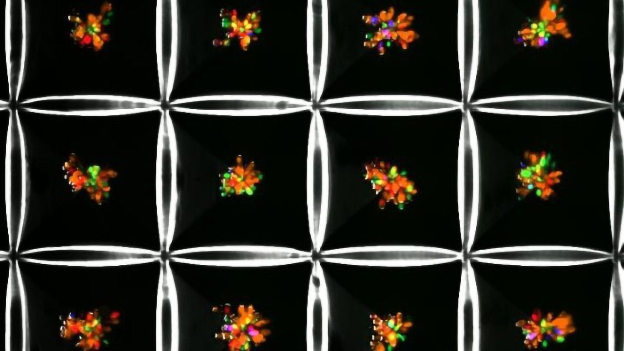 Multicellular Liver-on-a-Chip Models Fatty Liver Disease