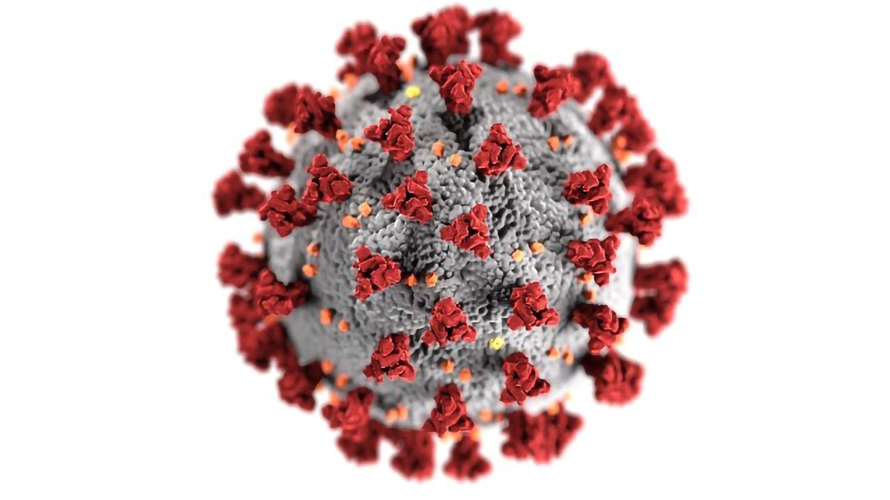 How the South African COVID-19 Variant Was Found