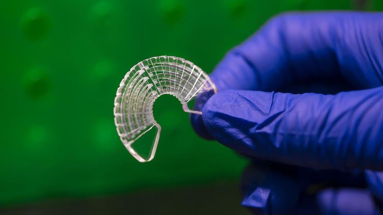 Silkworm Silk Used To Model Skeletal Muscle