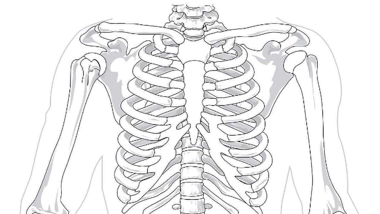 Researchers Grow Lifelike Piece of Bone Tissue From Human Stem Cells
