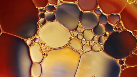 Bacterial Biofilm Could Aid Oil Spill Cleanup