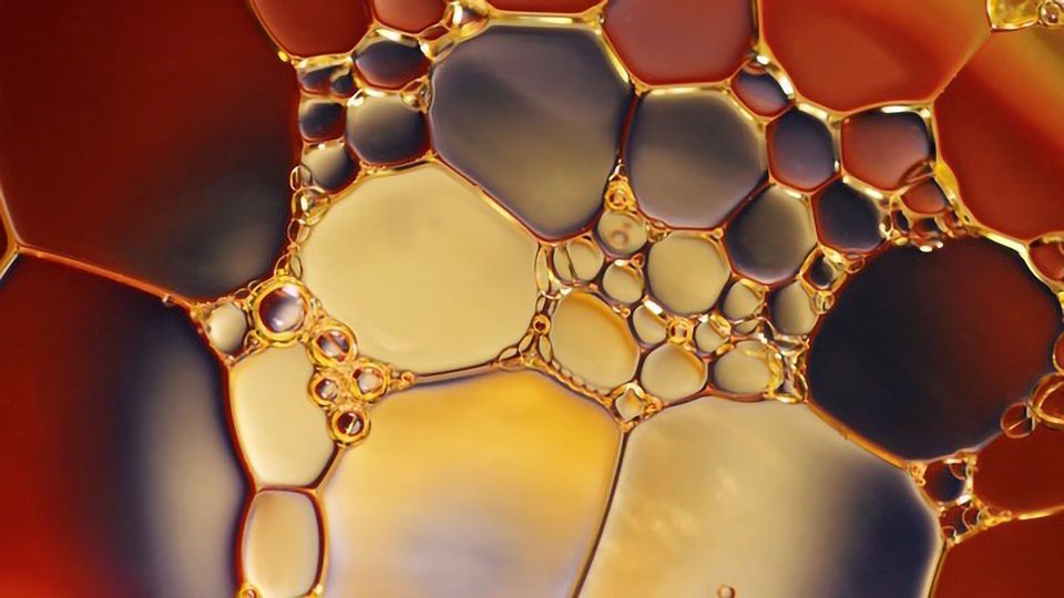 Bacterial Biofilm Could Aid Oil Spill Cleanup content piece image
