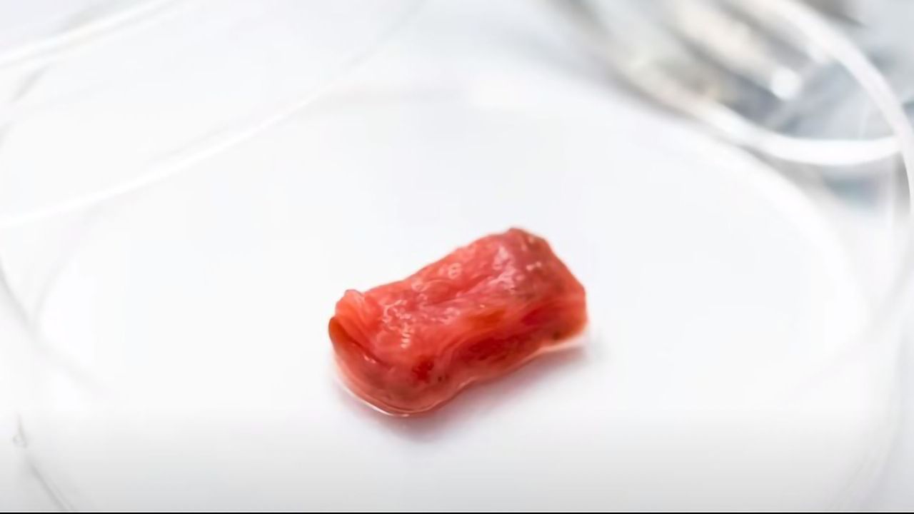 Meet Shoji Takeuchi – Growing Meat in the Lab