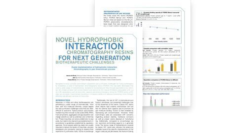 Addressing Key Biotherapeutic Challenges With Novel Chromatography Resins