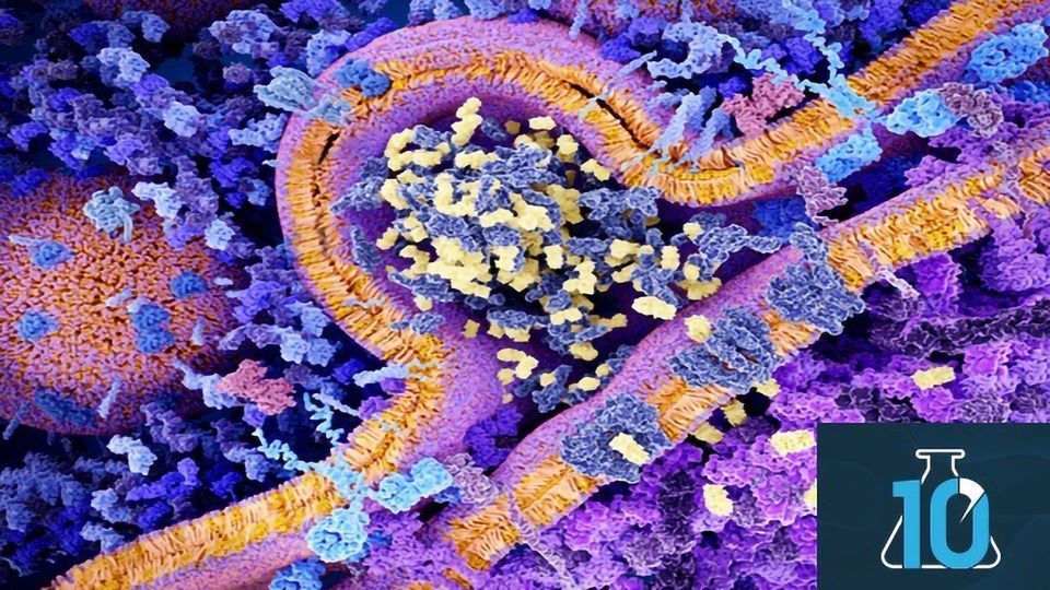 CAR T Cells: A Living Targeted Drug, With Dr Matt Cooper content piece image
