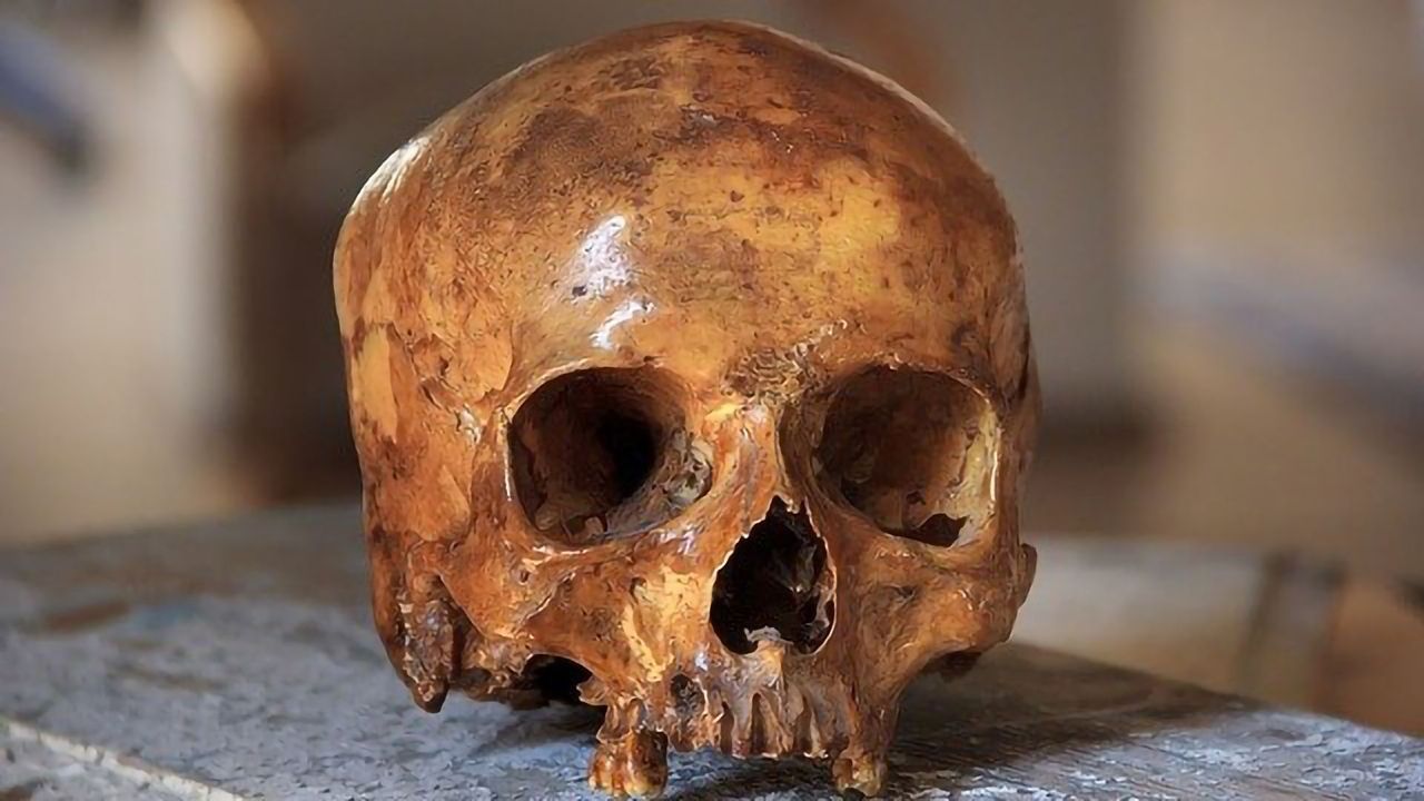 More Information Extracted From Ancient Teeth