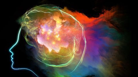 Psychedelic Study Links Brain Activity and Behavior