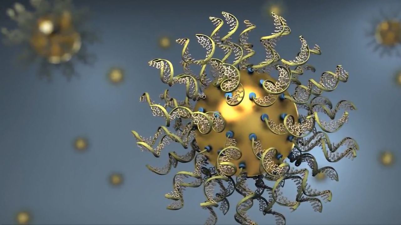Spherical Nucleic Acid “Drug” Triggers Death of Brain Tumor Cells