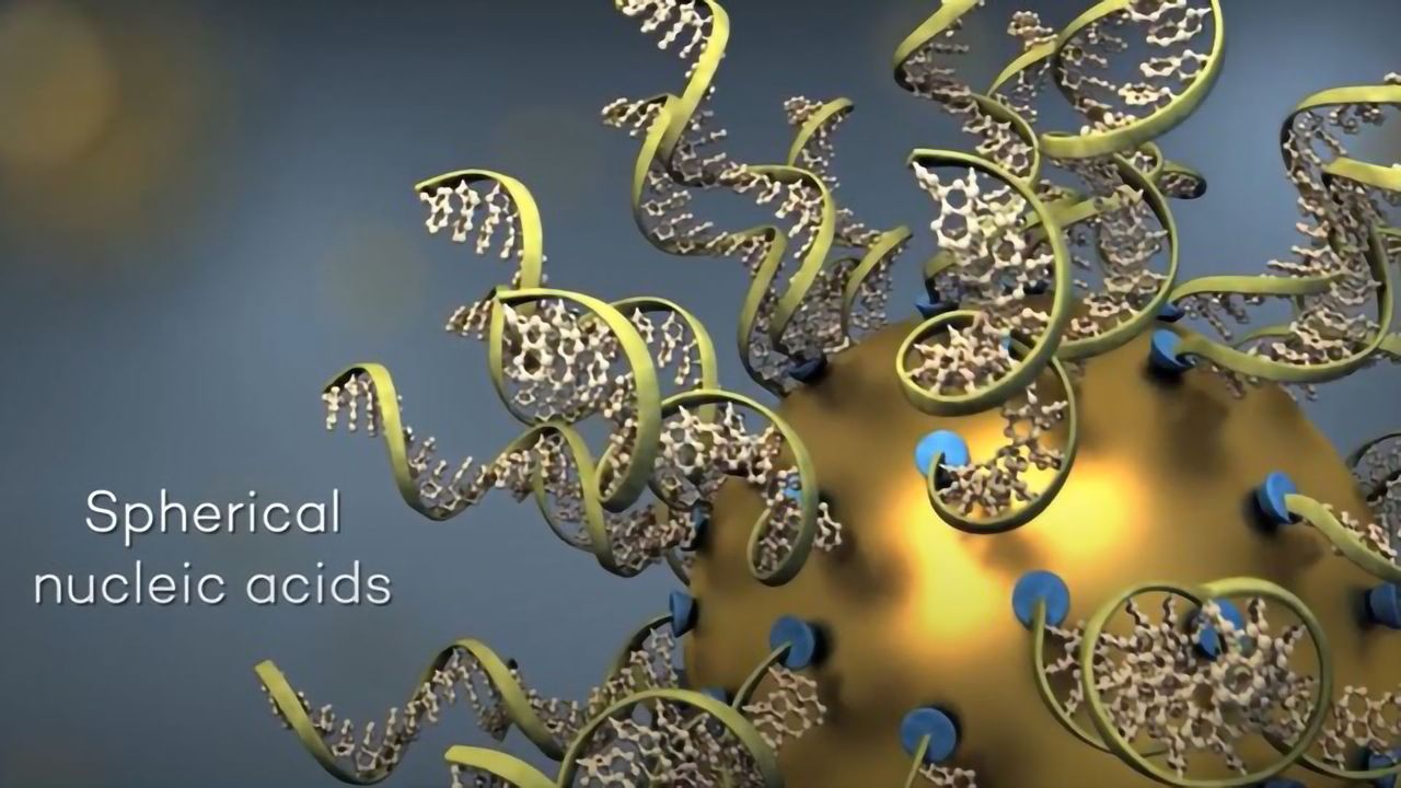 Targeting a Rare Brain Cancer With Spherical Nucleic Acids