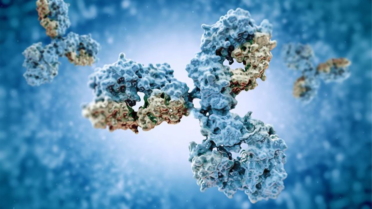 How To Validate Your Antibodies
