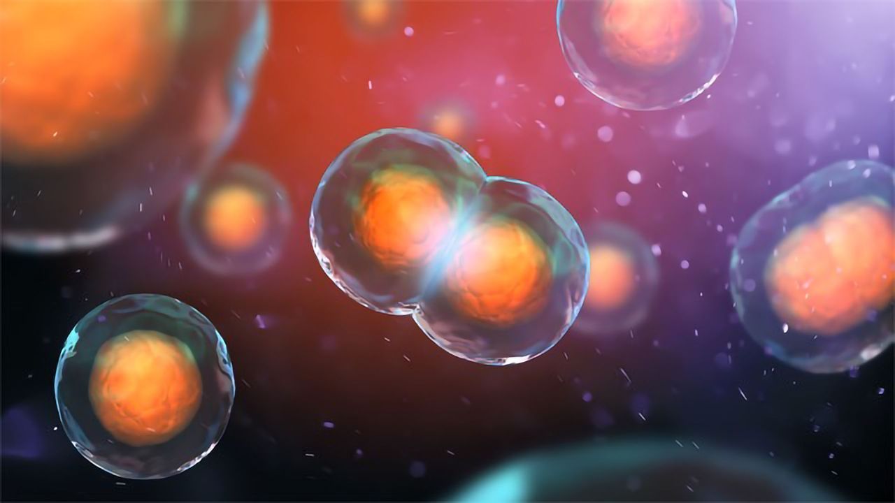 Cellular Senescence: A Common Thread Across Age-Related Diseases