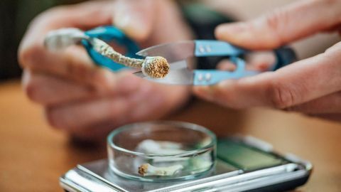 A Microdosing High is Mostly a Placebo Effect, Psychedelic Study Suggests