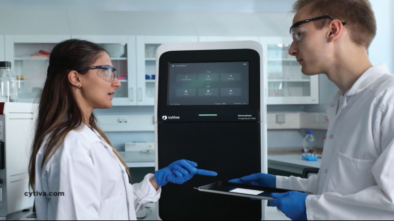 Traceability in Western Blot Imaging: Considerations for GxP Regulations