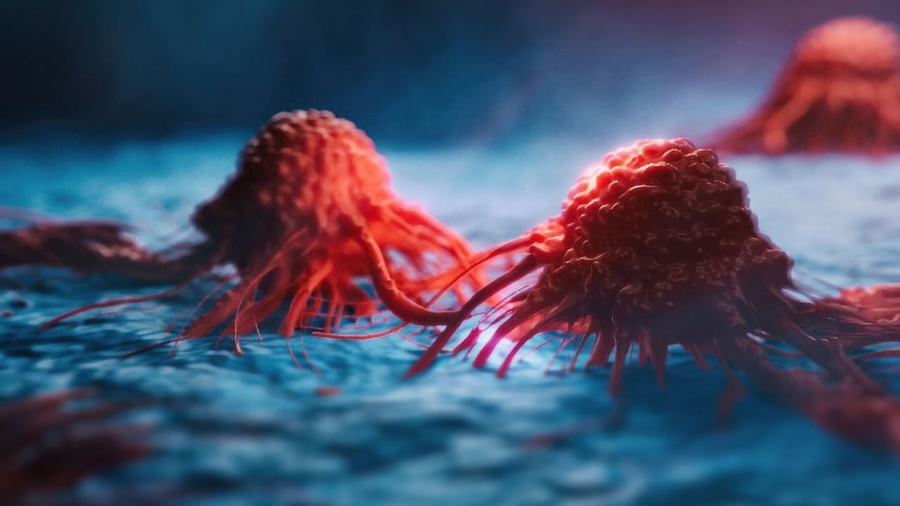 Cancer Cells Go Dormant To Dodge Chemotherapy