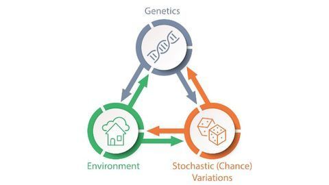 Why Does Lifespan Vary So Much?