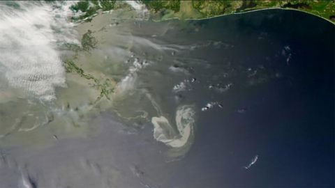 What Happens to Oil Spilled in Oceans?