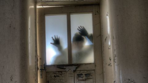 People With Aphantasia Have an Unusual Response to Scary Stories