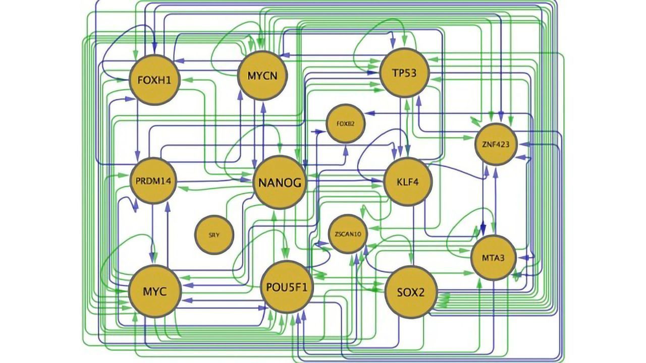Computational Guide Improves Cellular Conversion Efficiency
