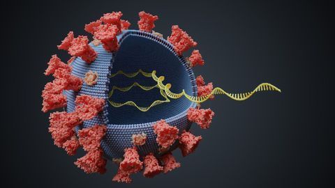 APN01 Shows Clinical Benefit for Severely Ill COVID-19 Patients in Phase II Trial