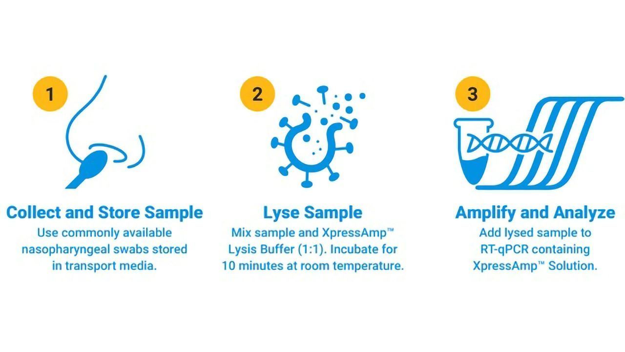 Promega Launches XpressAmp™ Direct Amplification Reagents