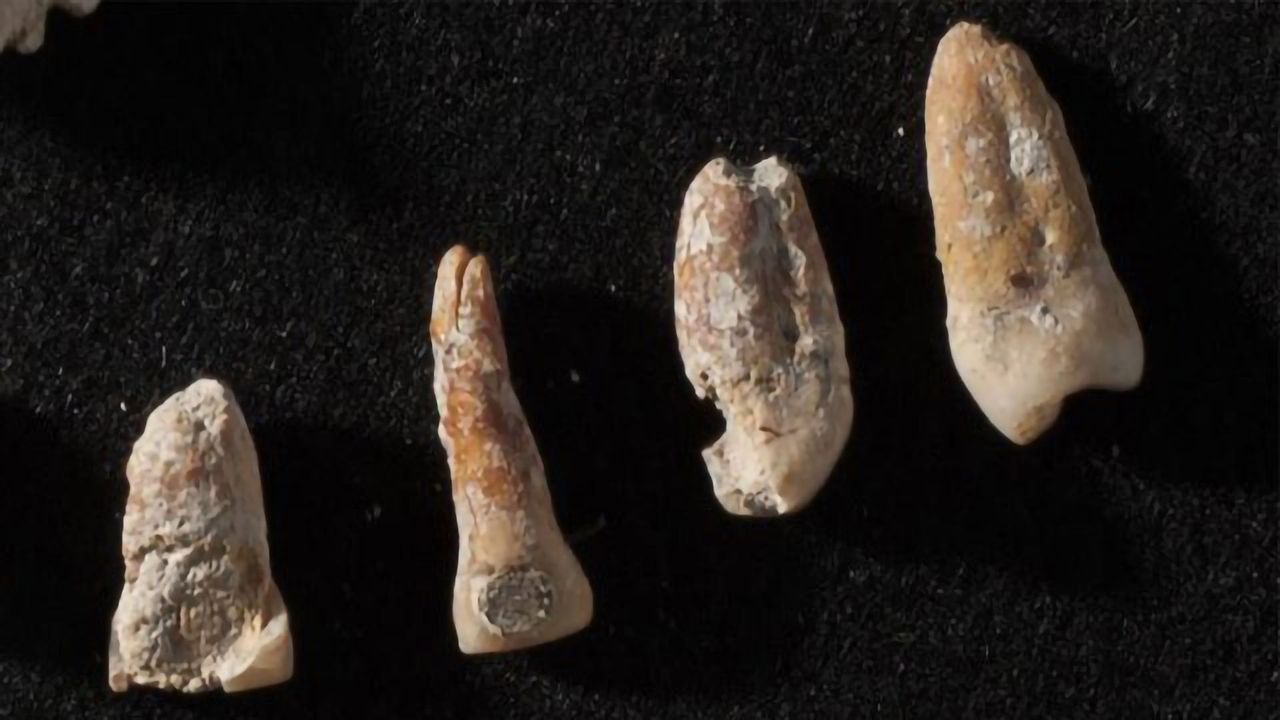 Bones Tell the Story of a Powerful Man's Rise and Fall