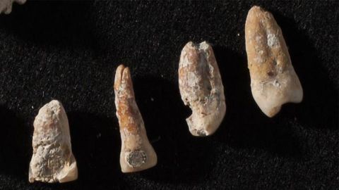 Bones Tell the Story of a Powerful Man's Rise and Fall