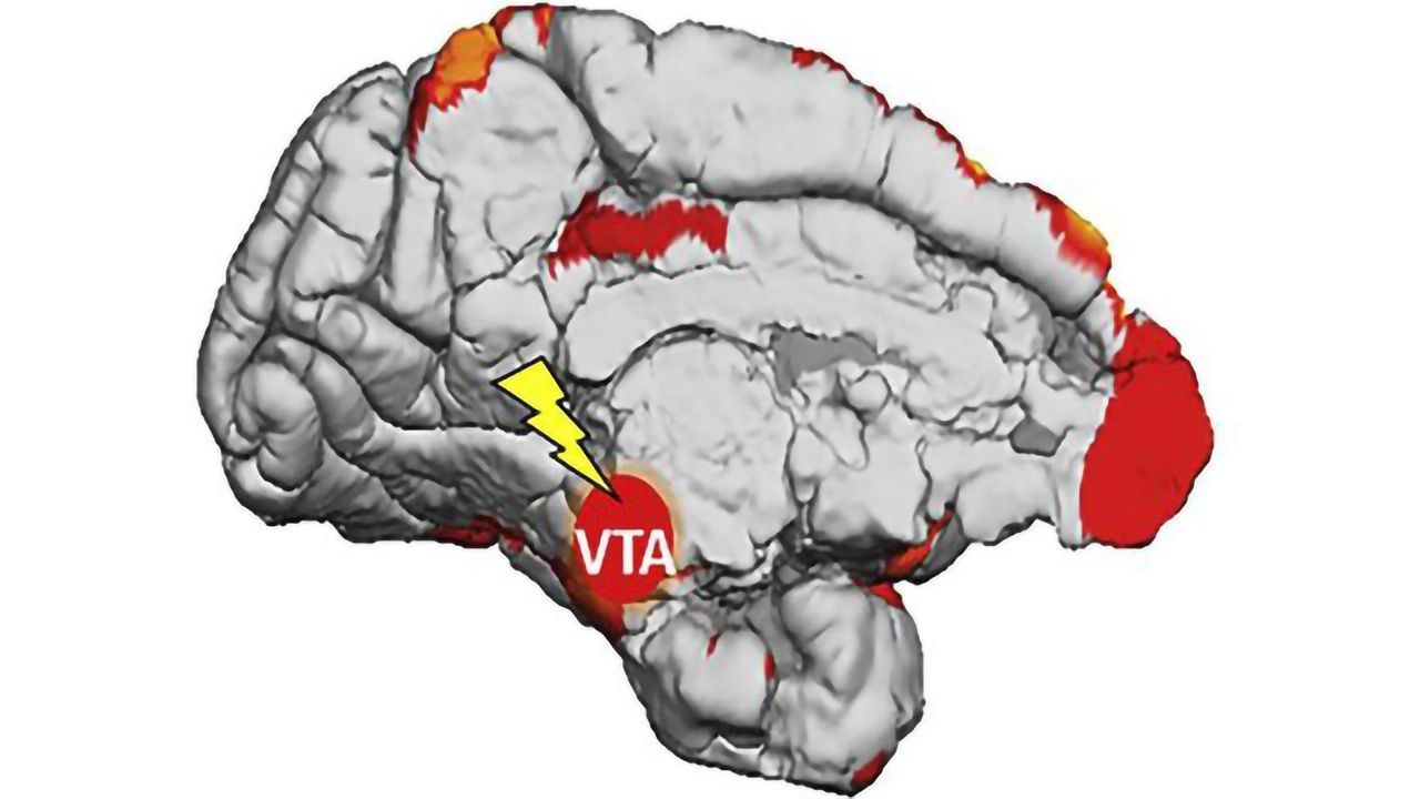 The "Pleasure" Hormone That Helps Our Brains Learn Subconsciously