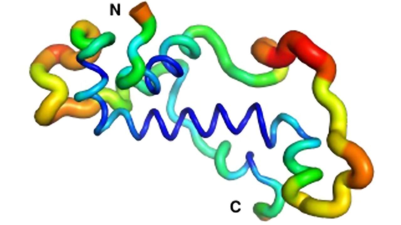 How Evolution Forms the Structure and Function of a Newly Emerged Protein