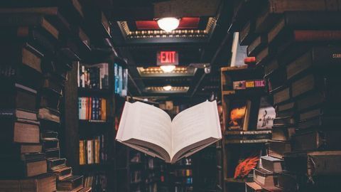 People Who Lose Themselves in Fiction Books Mentally Place Themselves Between the Pages