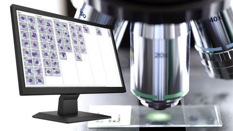 HORIBA Medical Launches New Look Blood Cell Morphology Educational Newsletter