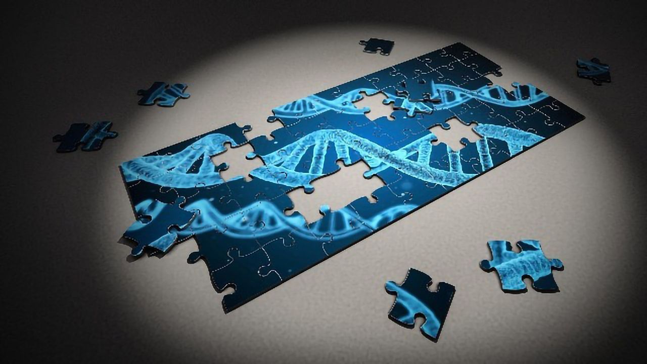 Whole Genome Sequencing Enables More Precise Diagnoses for Patients With Rare Diseases