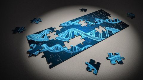 Whole Genome Sequencing Enables More Precise Diagnoses for Patients With Rare Diseases