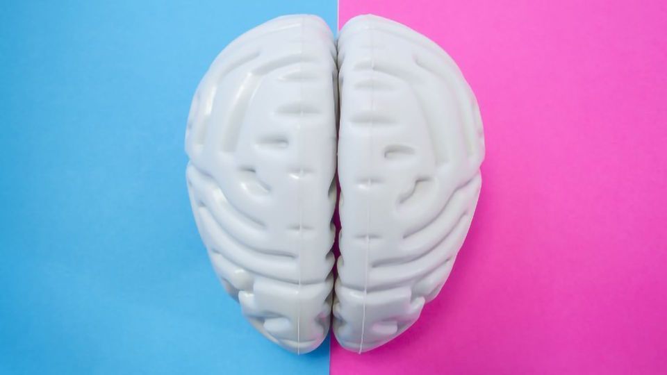 Alzheimer's and Parkinson's Diseases Show Sex Differences  content piece image