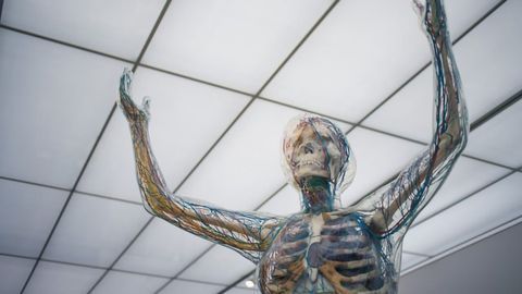 New Bioink Brings 3D-Printing of Human Organs Closer to Reality