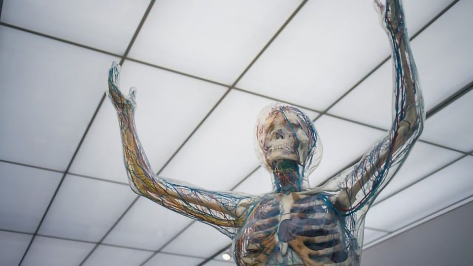 New Bioink Brings 3D-Printing of Human Organs Closer to Reality content piece image