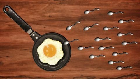 Semen Quality Threatened by Endocrine Disruptors