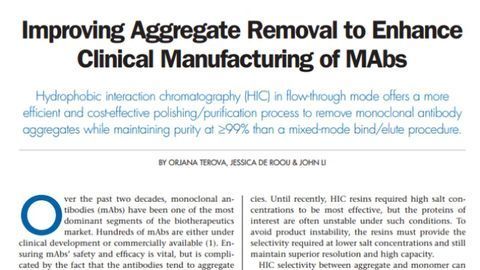 Improving Aggregate Removal To Enhance Clinical Manufacturing of mAbs