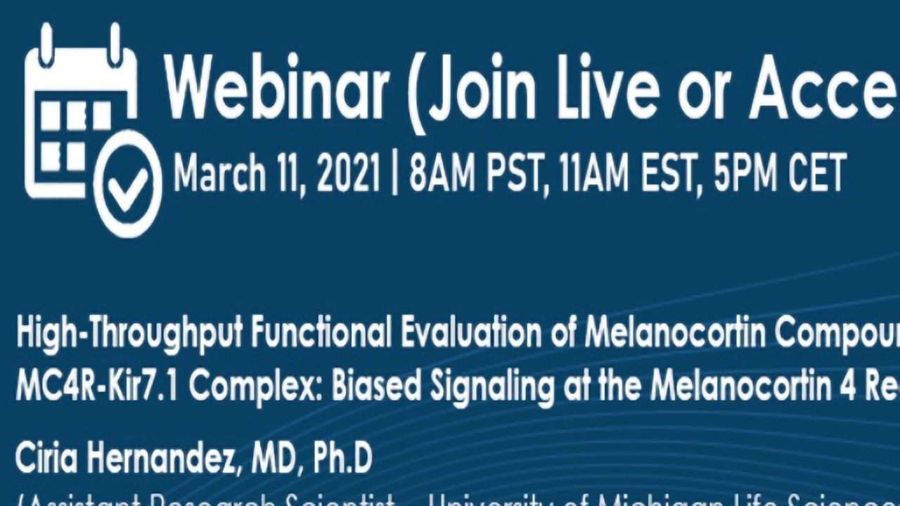 Accelerating Drug Discovery and Safety Studies on SyncroPatch 384, User Perspectives