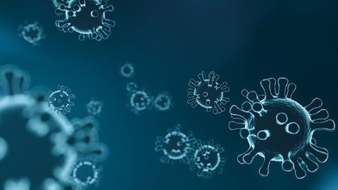 Leprosy Drug Exhibits Potent Antiviral Activities Against SARS-CoV-2