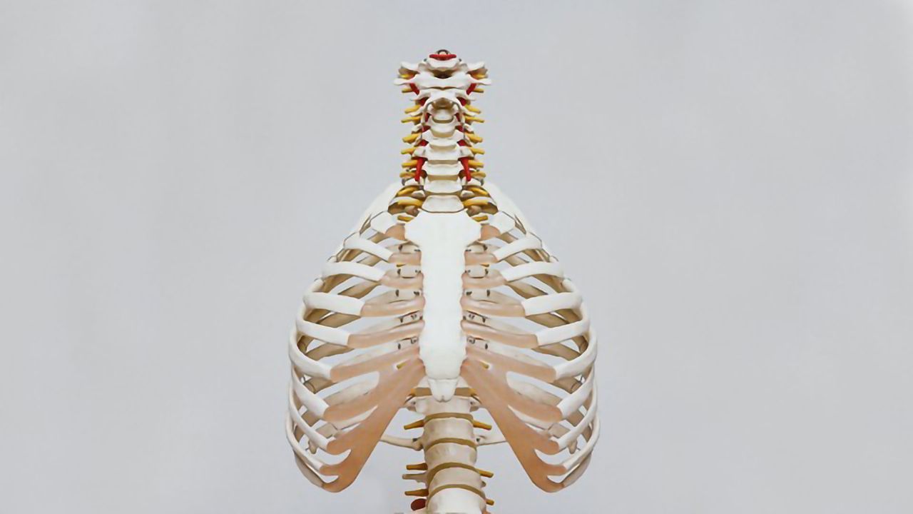 Delivering Vaccines Directly to the Lungs