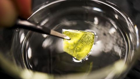 Promising Material Could Help To Make Renewable Energy From Water