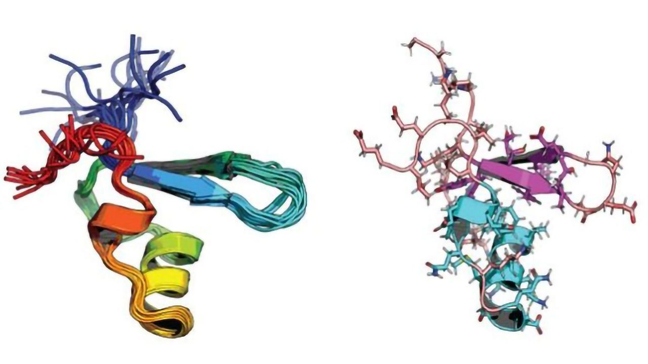 Atomic Techniques Reveal How Environment-Sensing Protein Allows Bacteria To Adapt