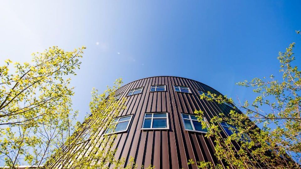 What Can Early-Budding Trees Tell Us About Genetics and Climate Change? content piece image